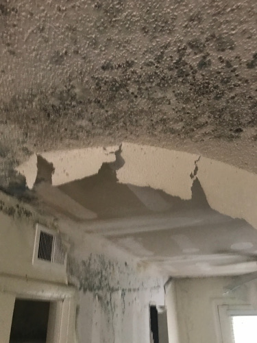 mold on ceiling that formed as the result a delay