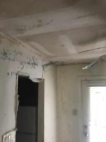 another photo of a room with mold 