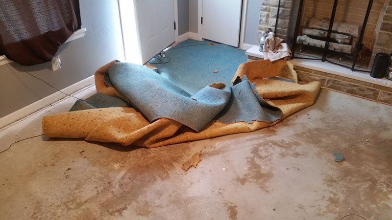 Water Damaged Living Room